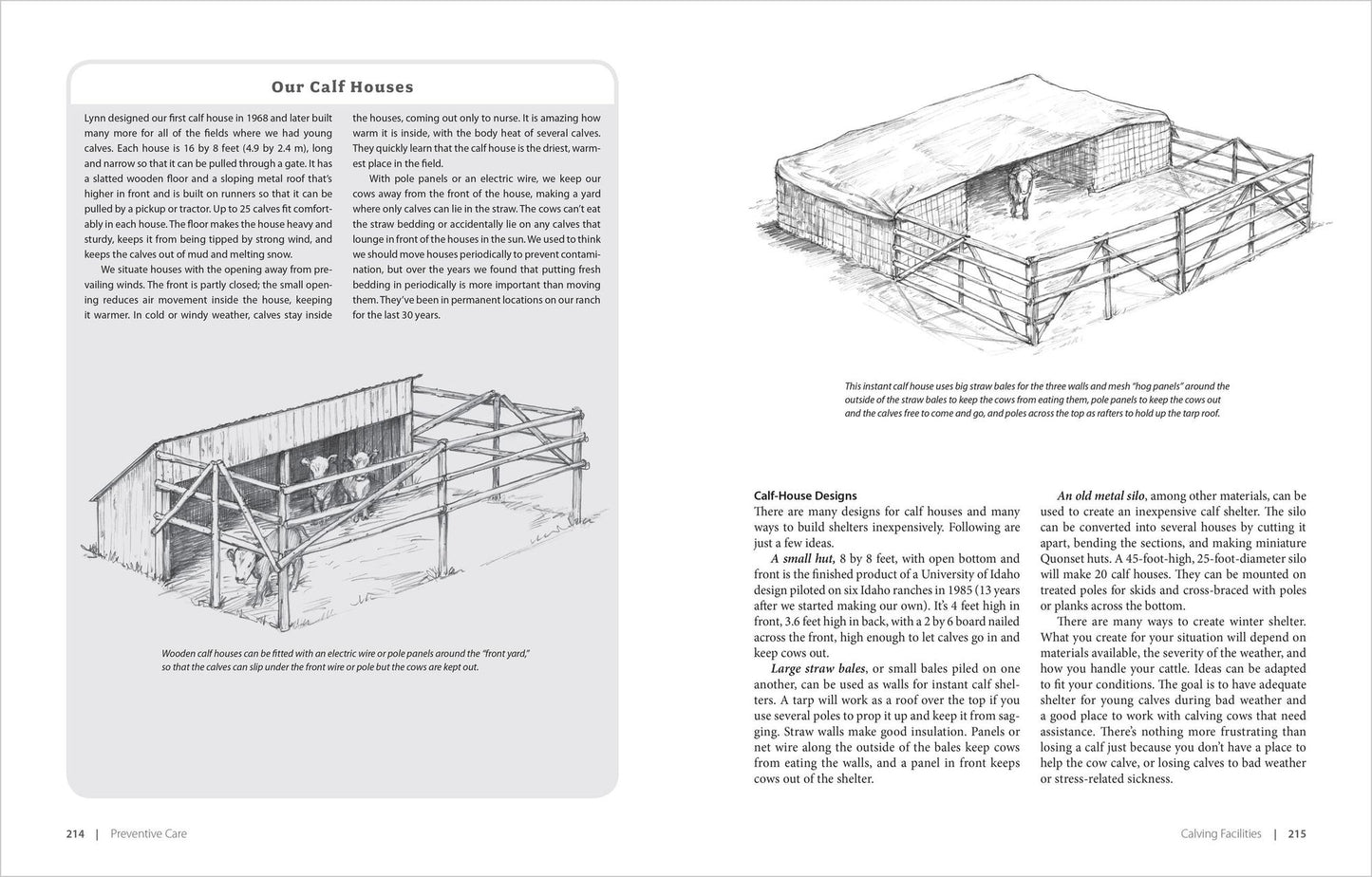 Essential Guide to Calving: Giving Your Beef or Dairy Herd a Healthy Start