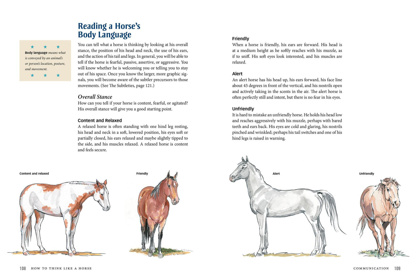 How to Think Like A Horse: Essential Insights for Understanding Equine Behavior and Building an Effective Partnership with Your Horse
