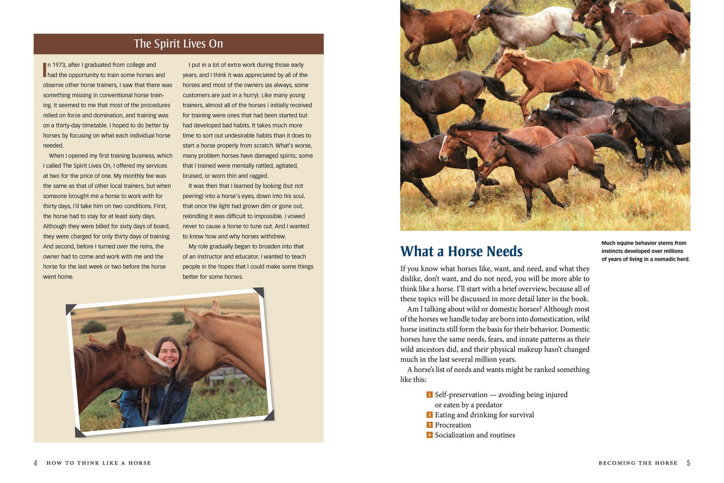 How to Think Like A Horse: Essential Insights for Understanding Equine Behavior and Building an Effective Partnership with Your Horse