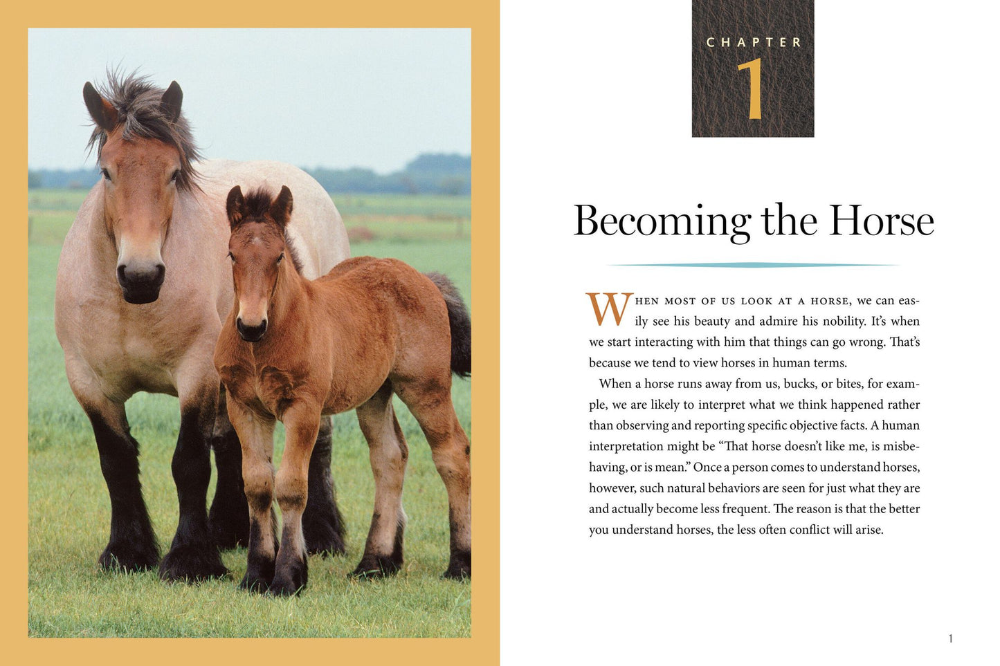 How to Think Like A Horse: Essential Insights for Understanding Equine Behavior and Building an Effective Partnership with Your Horse