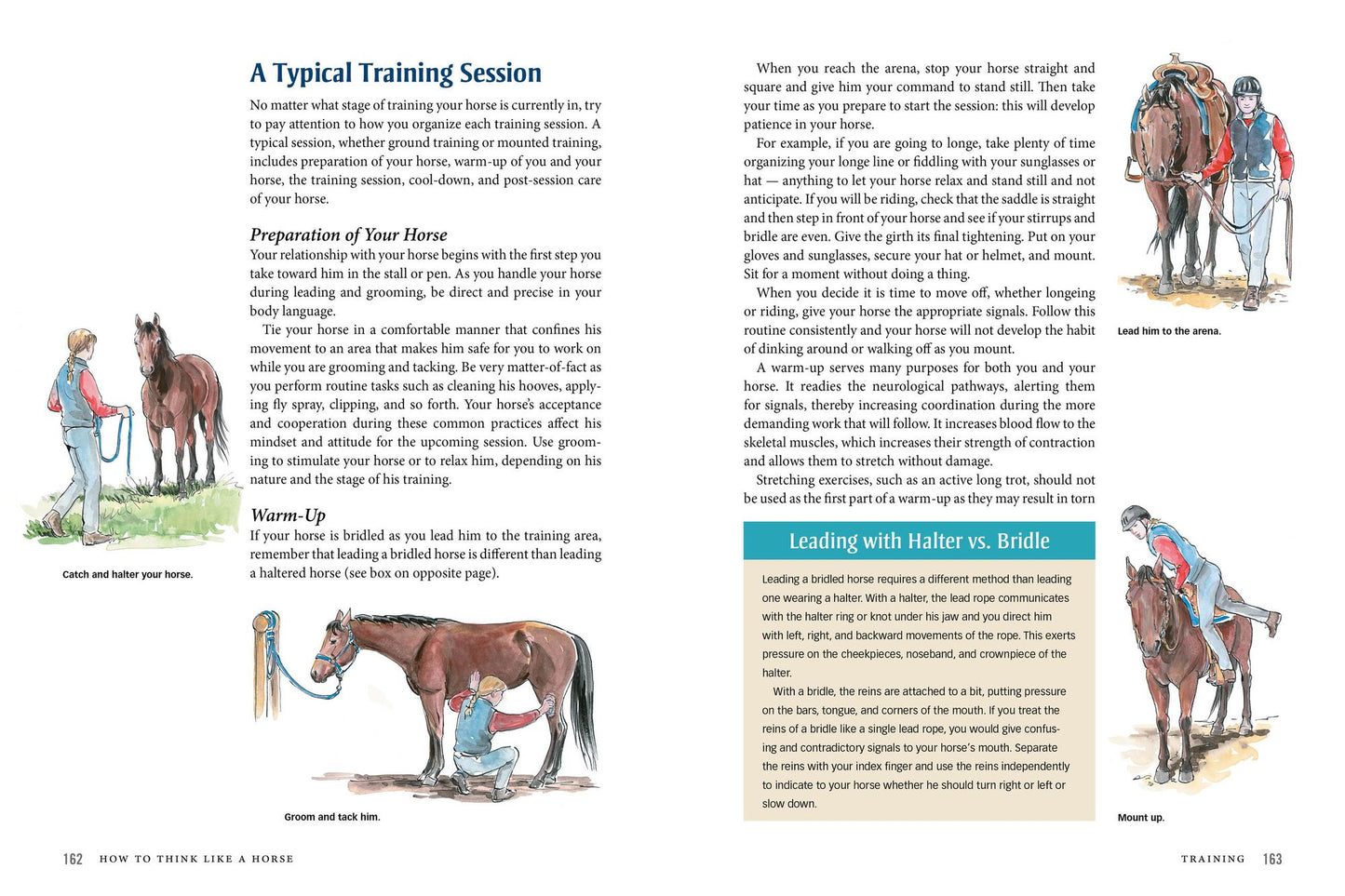 How to Think Like A Horse: Essential Insights for Understanding Equine Behavior and Building an Effective Partnership with Your Horse
