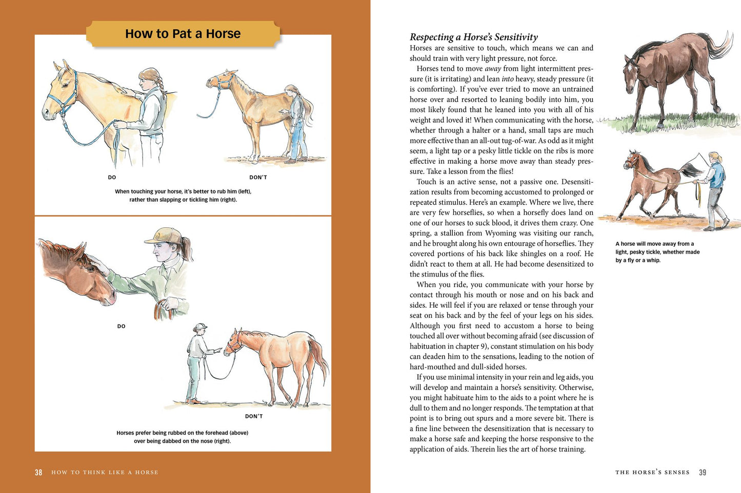How to Think Like A Horse: Essential Insights for Understanding Equine Behavior and Building an Effective Partnership with Your Horse