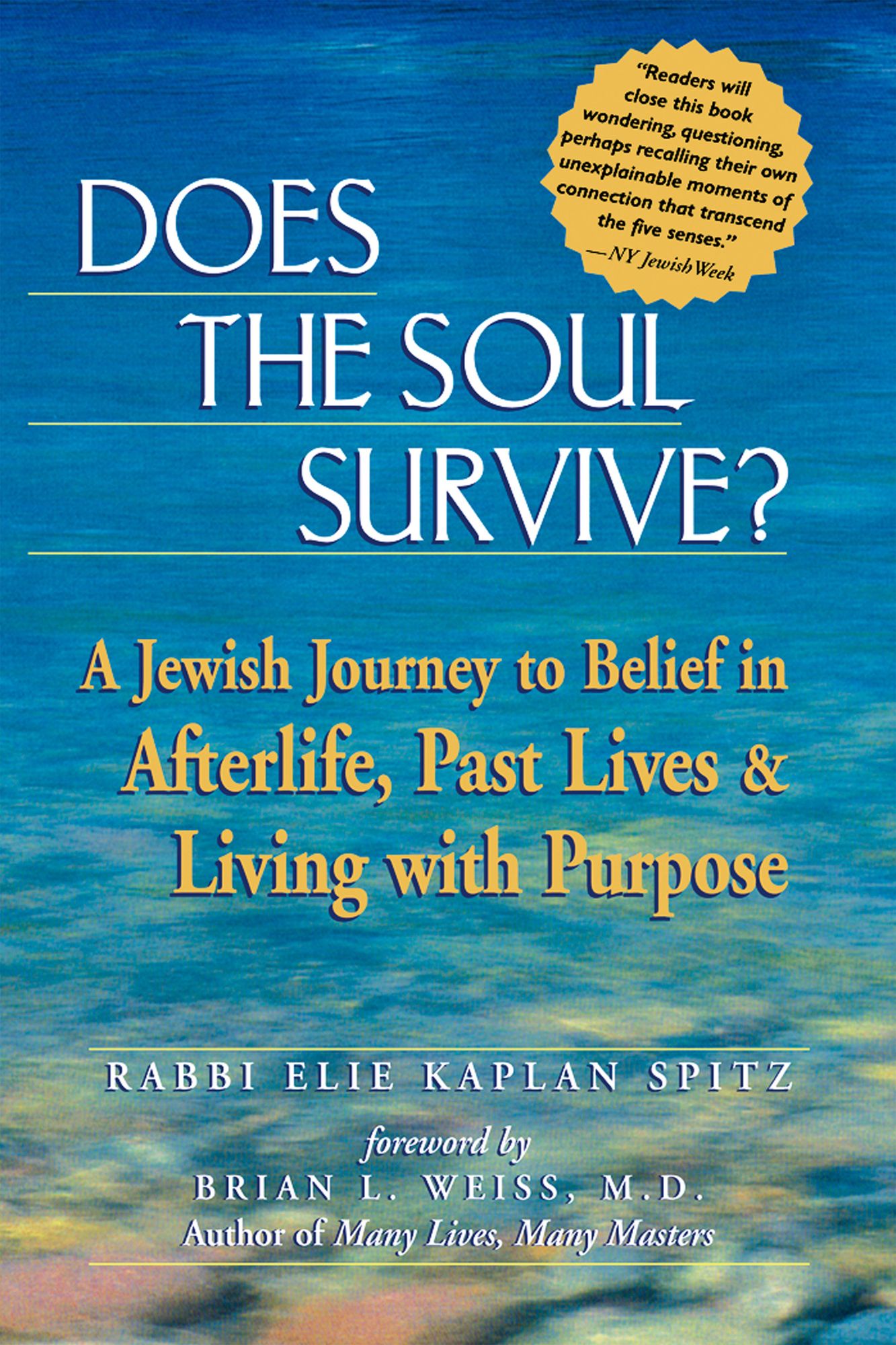 Does the Soul Survive?: A Jewish Journey to Belief in Afterlife, Past Lives & Living with Purpose