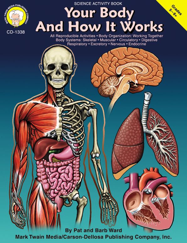 Your Body and How It Works