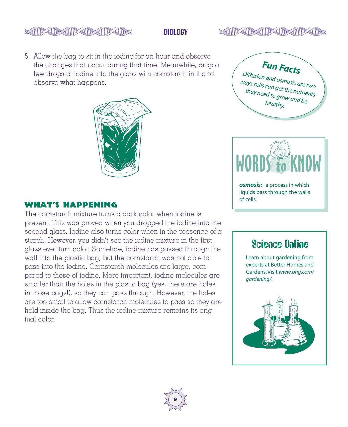 The Everything Kids' Science Experiments Book