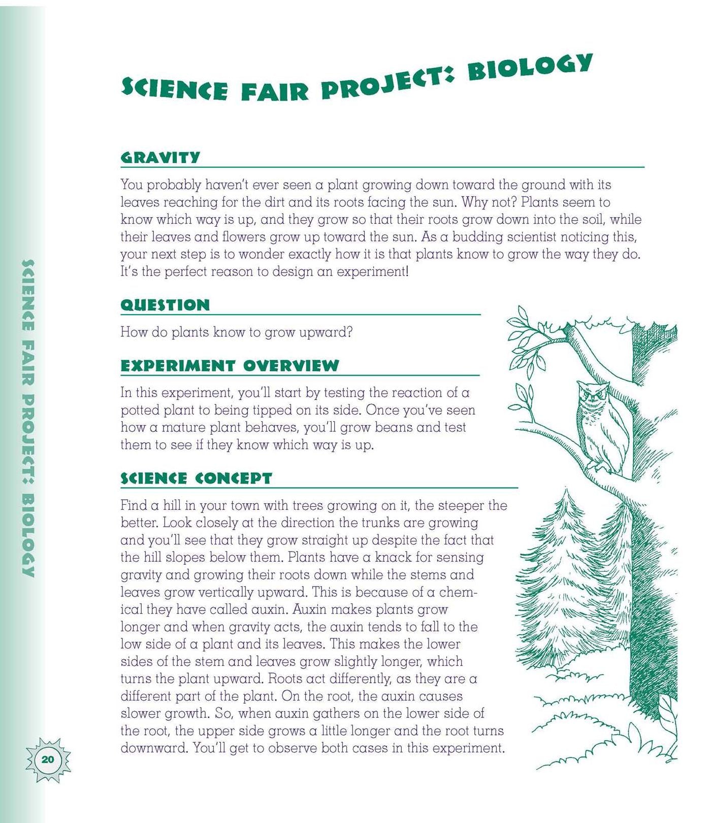 The Everything Kids' Science Experiments Book