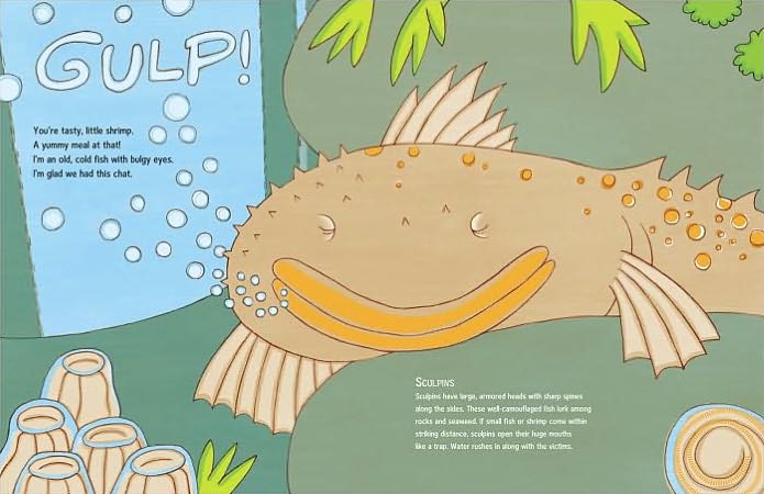 Ocean Soup: Tide-Pool Poems