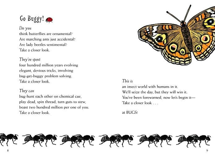Hey There, Stink Bug!