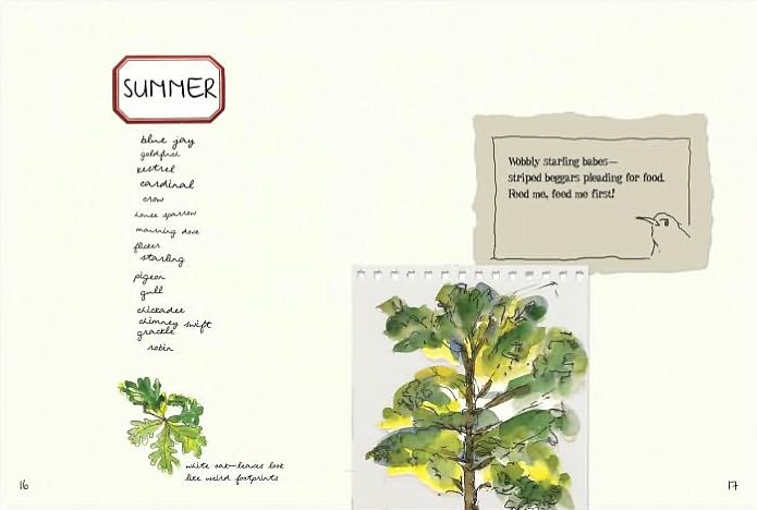 Robin Makes a Laughing Sound: A Birder's Journal