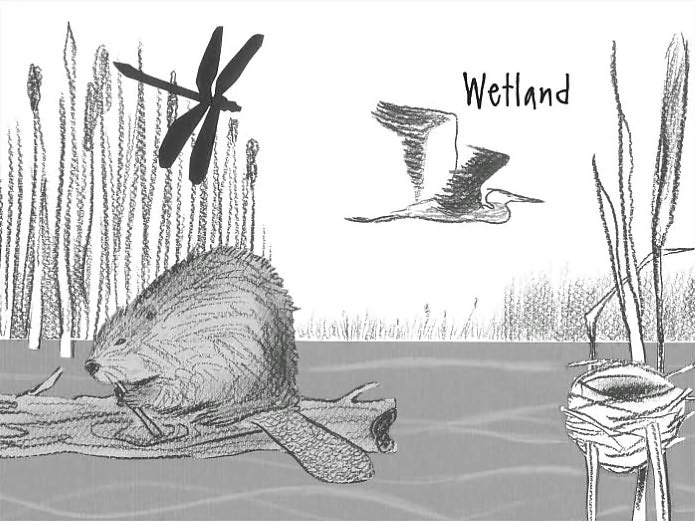 Nest, Nook, and Cranny