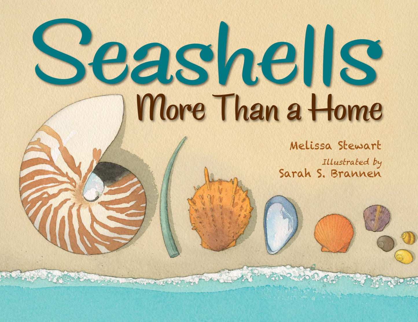 Seashells : More Than a Home