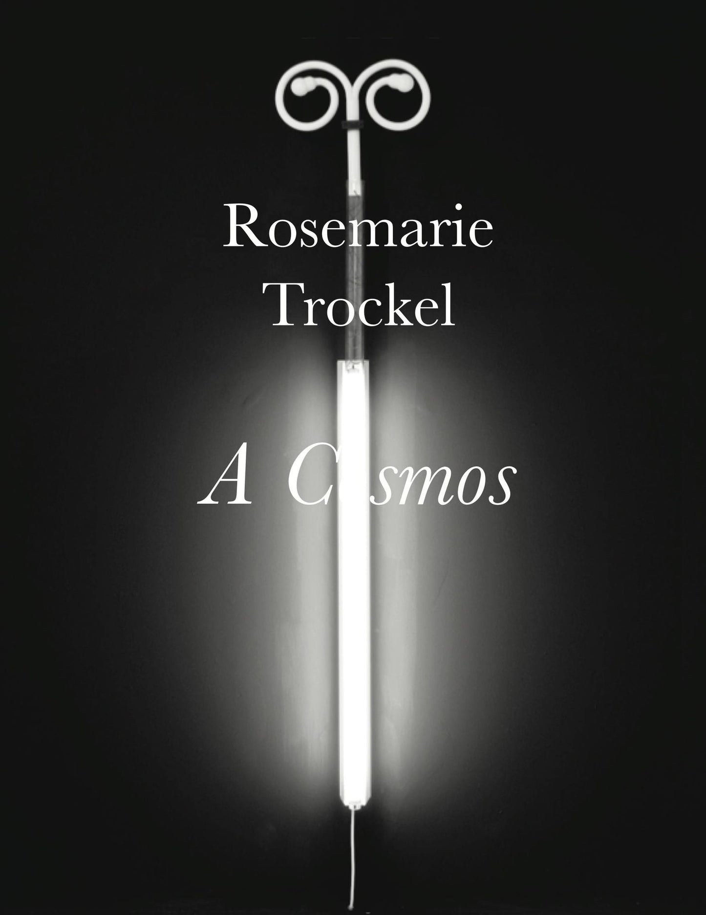 Rosemarie Trockel: A Cosmos