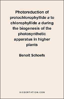 Photoreduction Of Protochlorophyllide A To Chlorophyllide A During The Biogenesis Of The Photosynthe