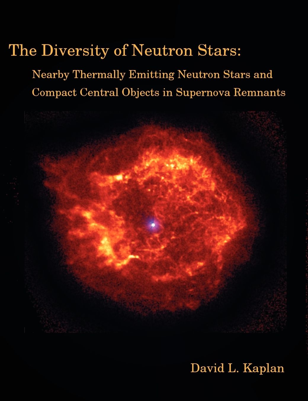 The Diversity Of Neutron Stars