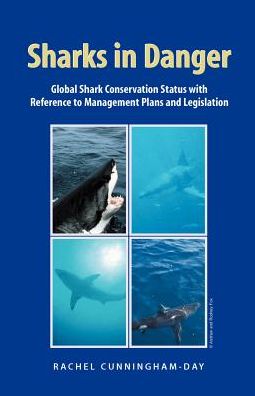 Sharks In Danger
