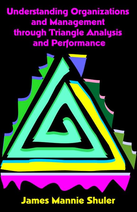 Understanding Organizations And Management Through Triangle Analysis And Performance
