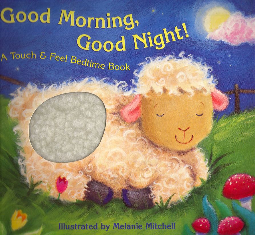 Good Morning, Good Night!: A Touch & Feel Bedtime Book