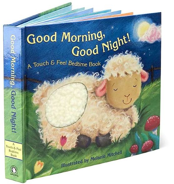 Good Morning, Good Night!: A Touch & Feel Bedtime Book