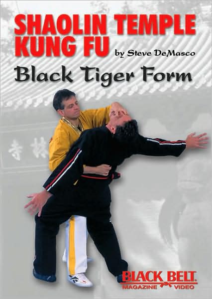 Shaolin Temple Kung Fu: Black Tiger Form