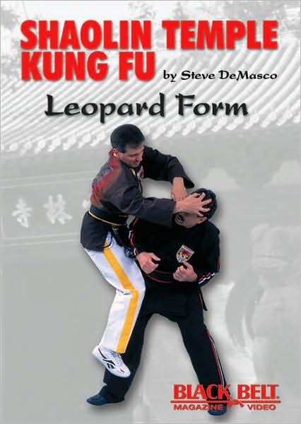 Shaolin Temple Kung Fu: Leopard Form