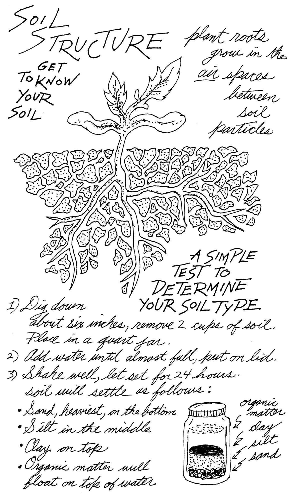 Raised-Bed Vegetable Gardening Made Simple