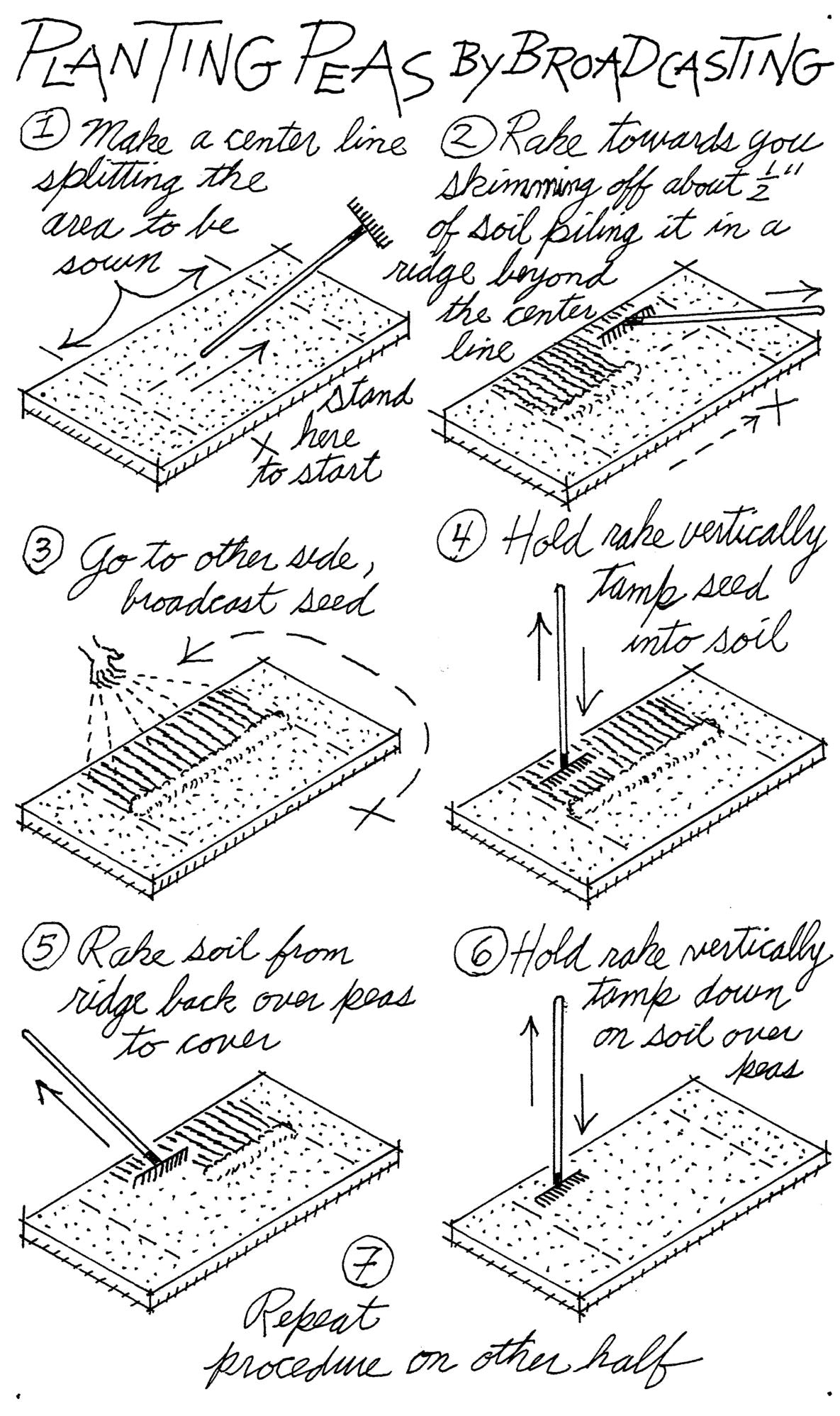 Raised-Bed Vegetable Gardening Made Simple