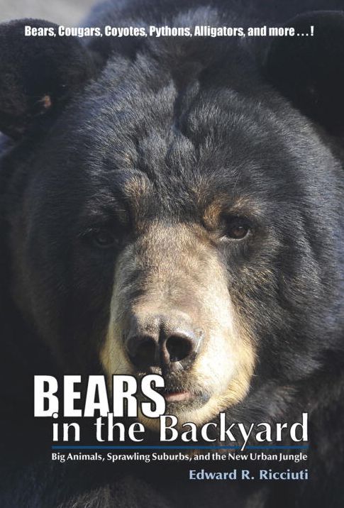 Bears in the Backyard: Big Animals, Sprawling Suburbs, and the New Urban Jungle