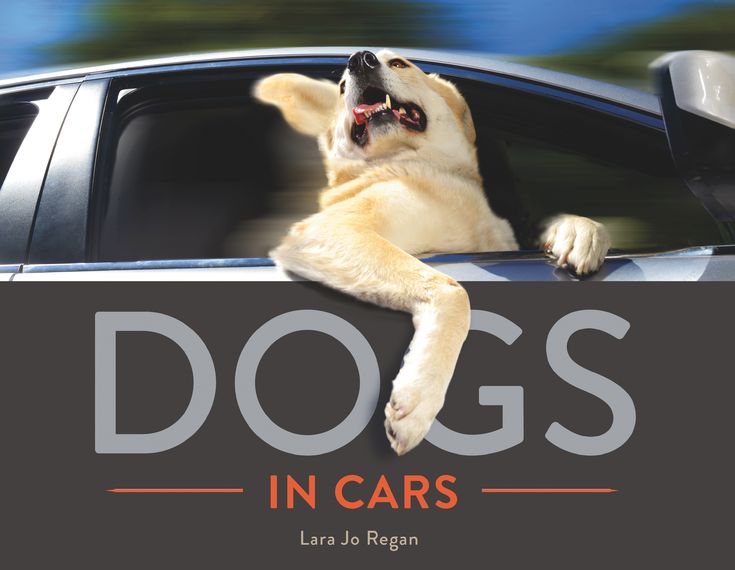 Dogs in Cars