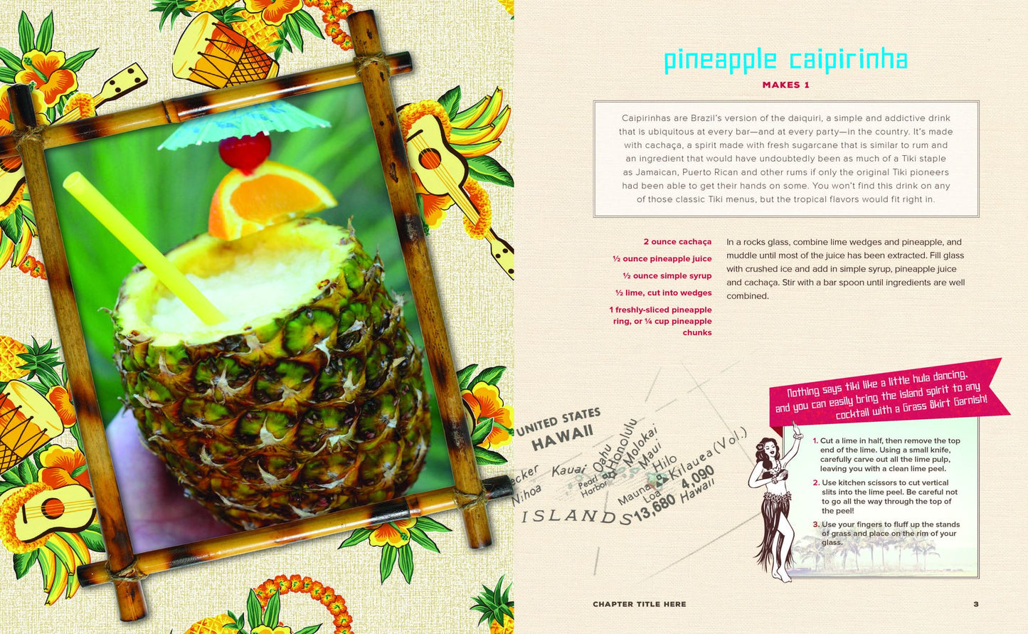 Tiki Drinks: Tropical Cocktails for the Modern Bar