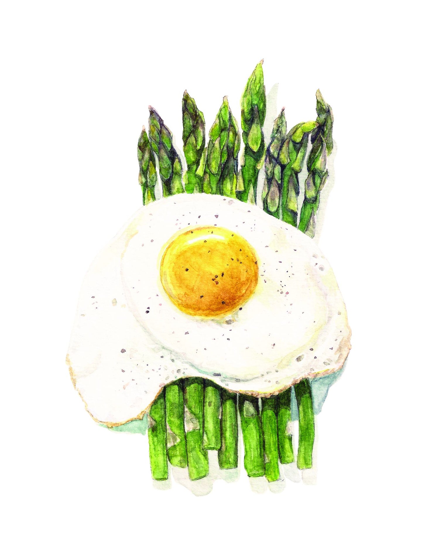 The Starving Artist Cookbook: Illustrated Recipes for First-Time Cooks