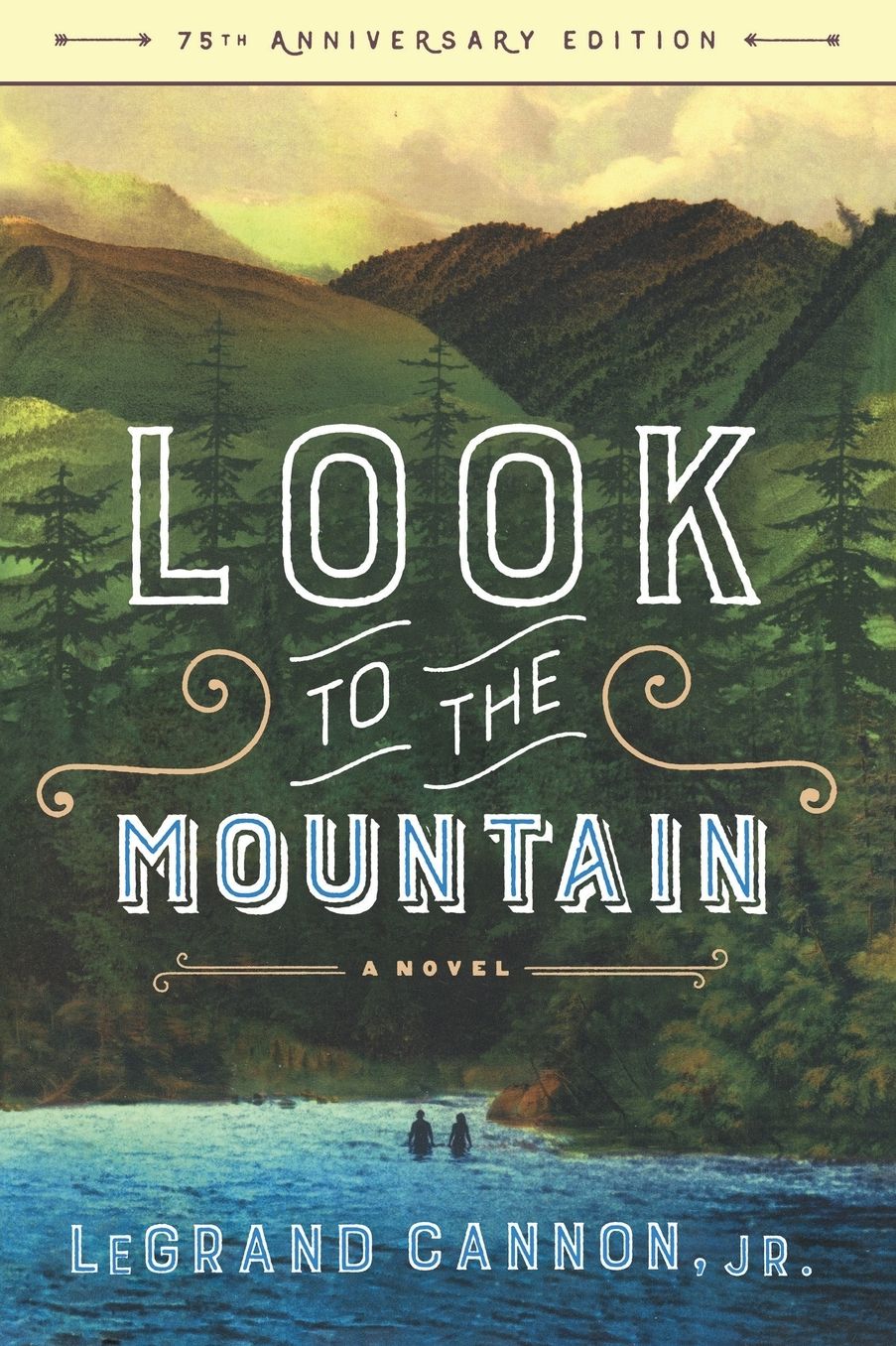 Look to the Mountain: A Novel