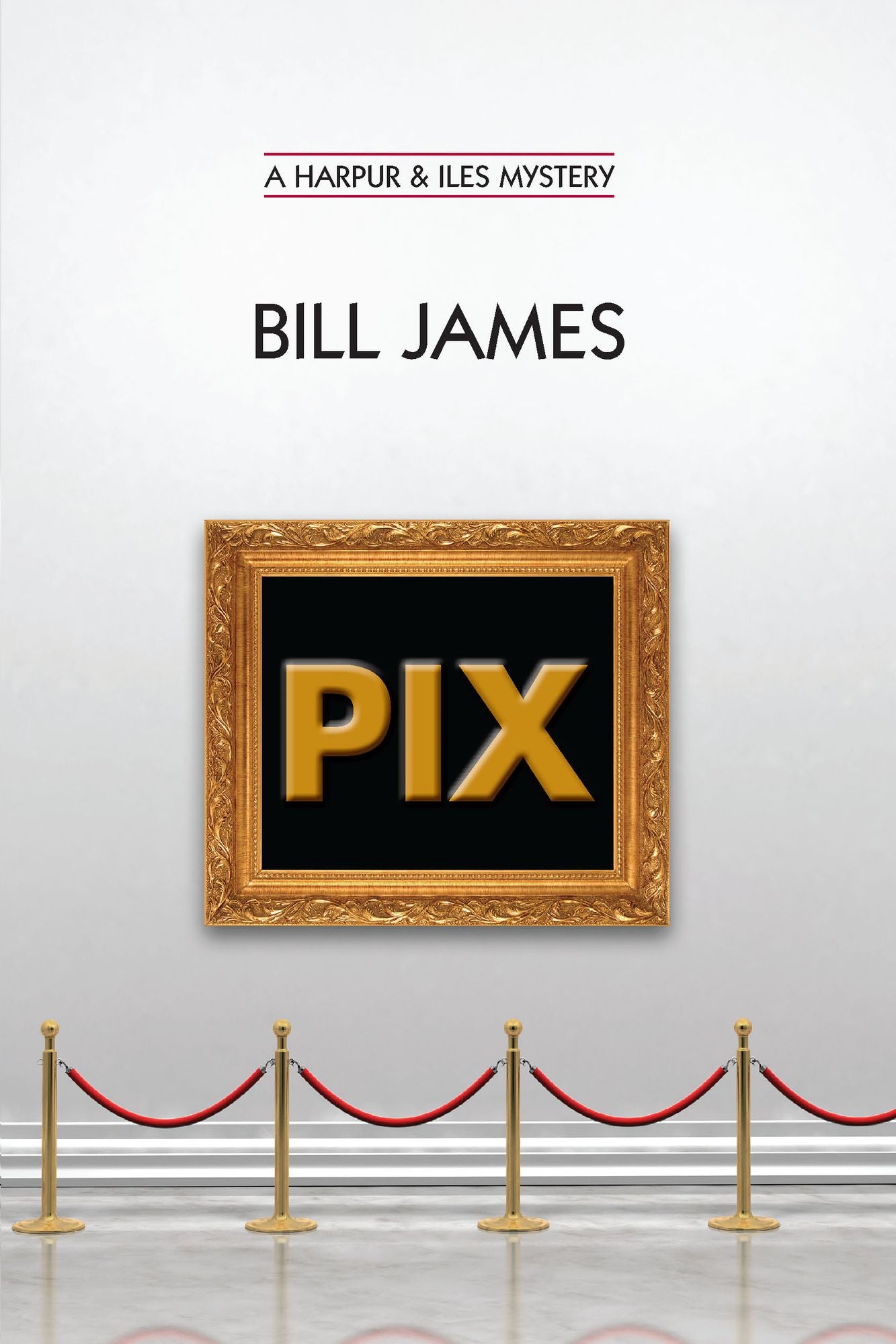Pix (Harpur and Iles Series #24)