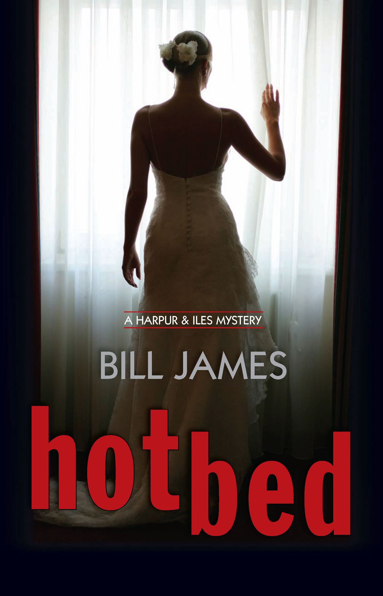 Hotbed (Harpur and Iles Series #26)