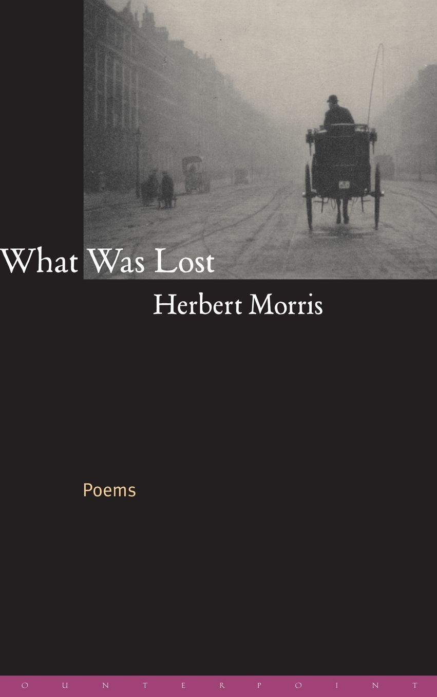 What Was Lost: Poems