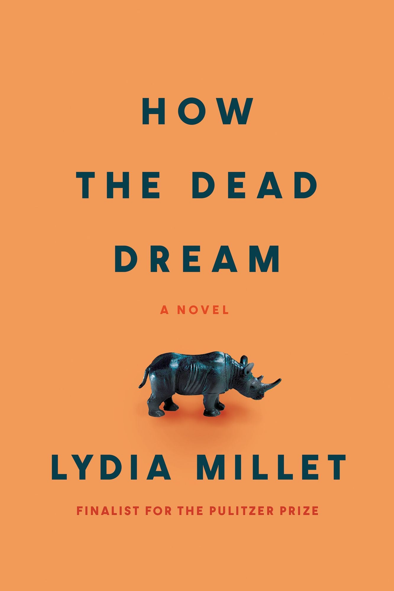 How the Dead Dream