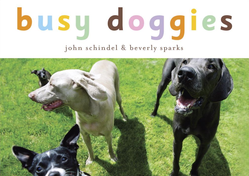 Busy Doggies