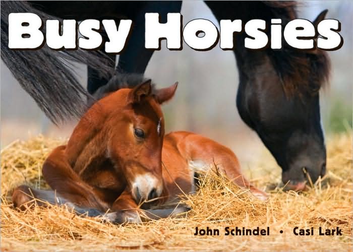Busy Horsies