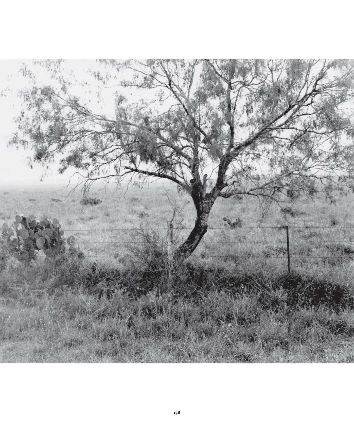 Seldom Heard: Ranchers, Ranchos & Rumors of the South Texas Brush Country