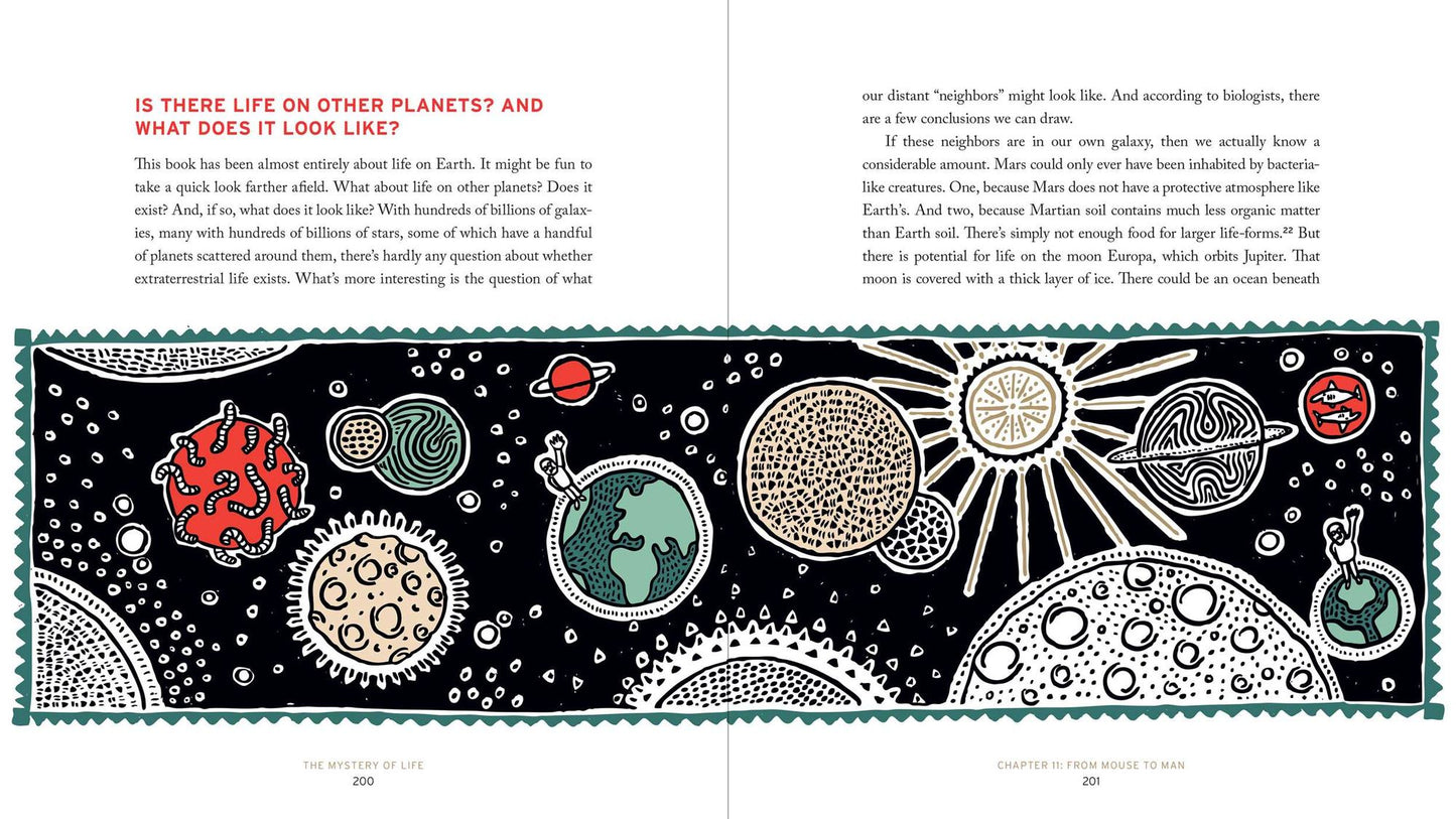 The Mystery of Life: How Nothing Became Everything