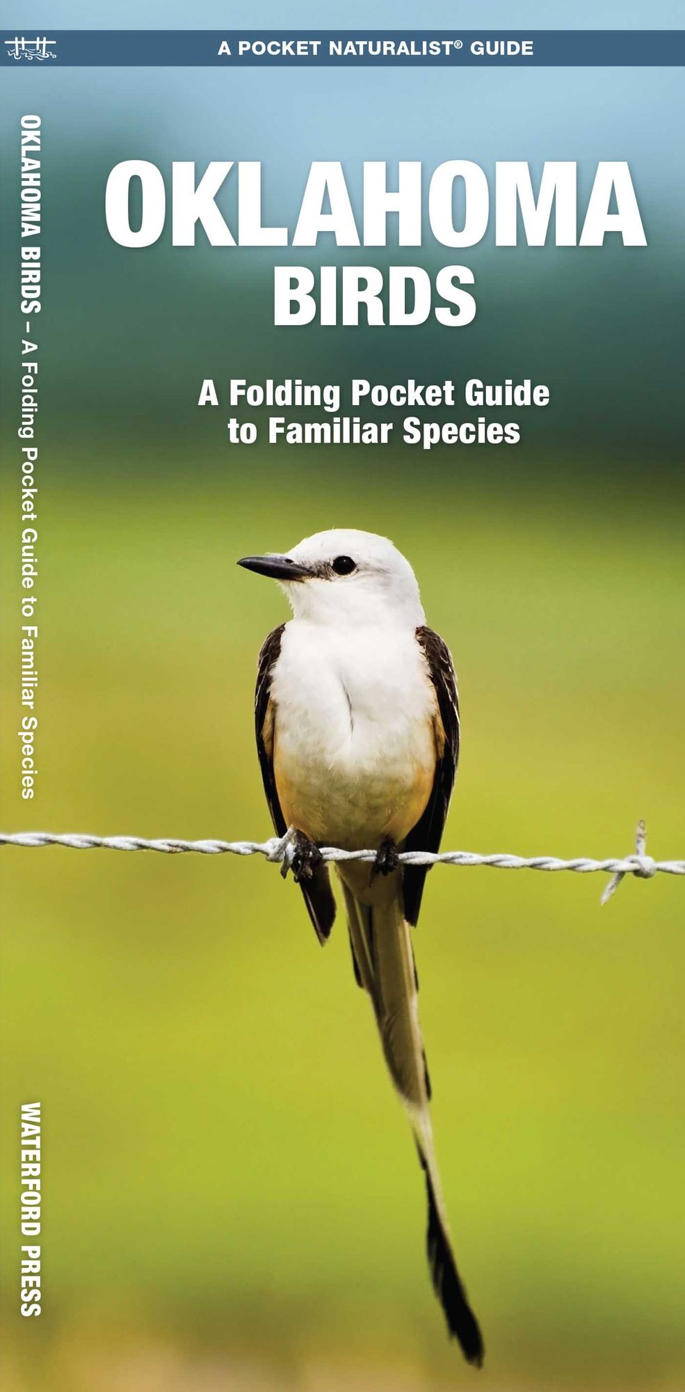 Oklahoma Birds: An Introduction to Familiar Species