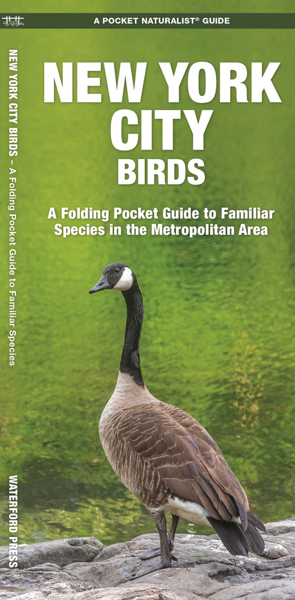 New York City Birds: An Introduction to Familiar Species in the Metropolitan Area