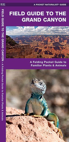 Pocket Naturalist: Field Guide to the Grand Canyon