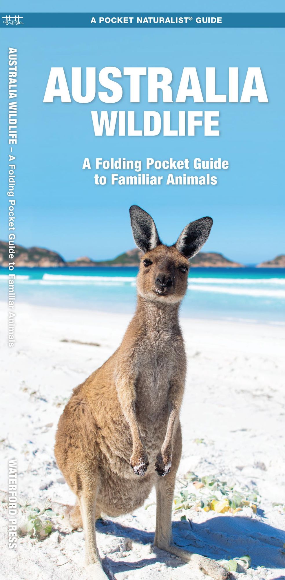 Australian Wildlife: An Introduction to Familiar Species