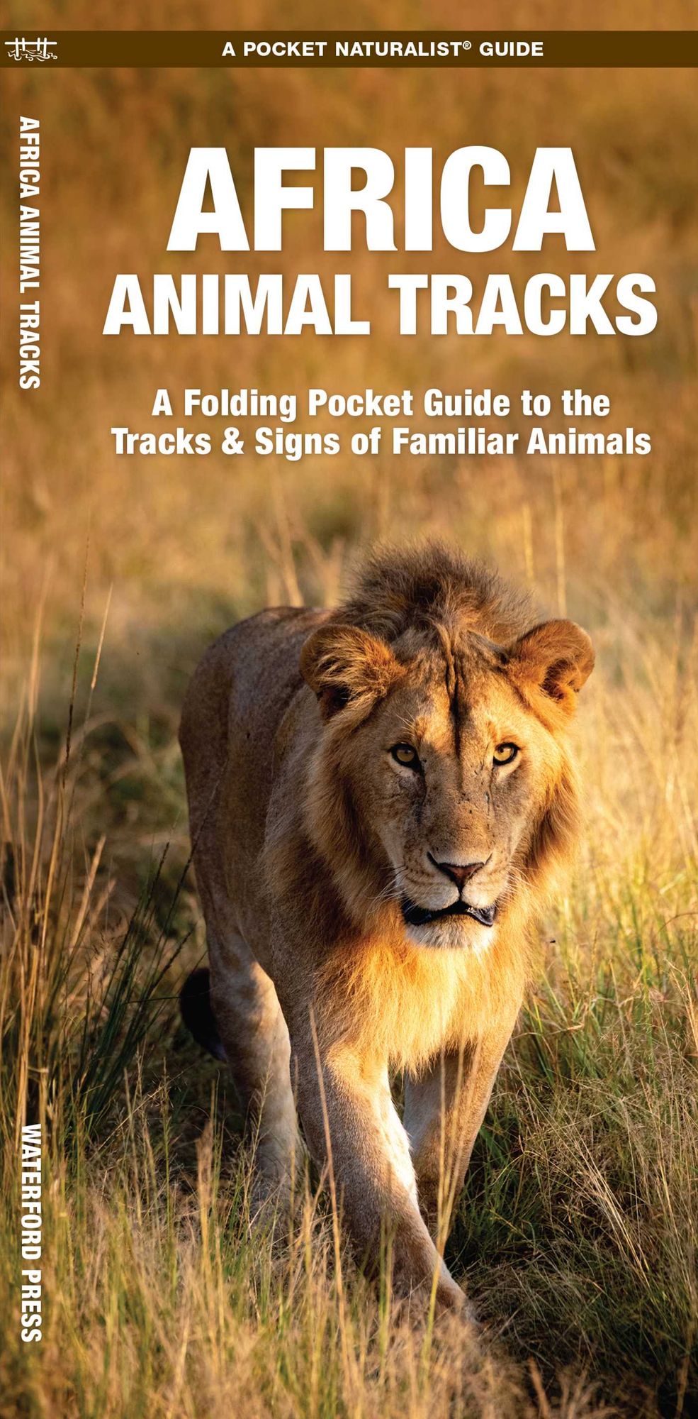 African Animal Tracks: An Introduction to the Tracks and Signs of Familiar Species