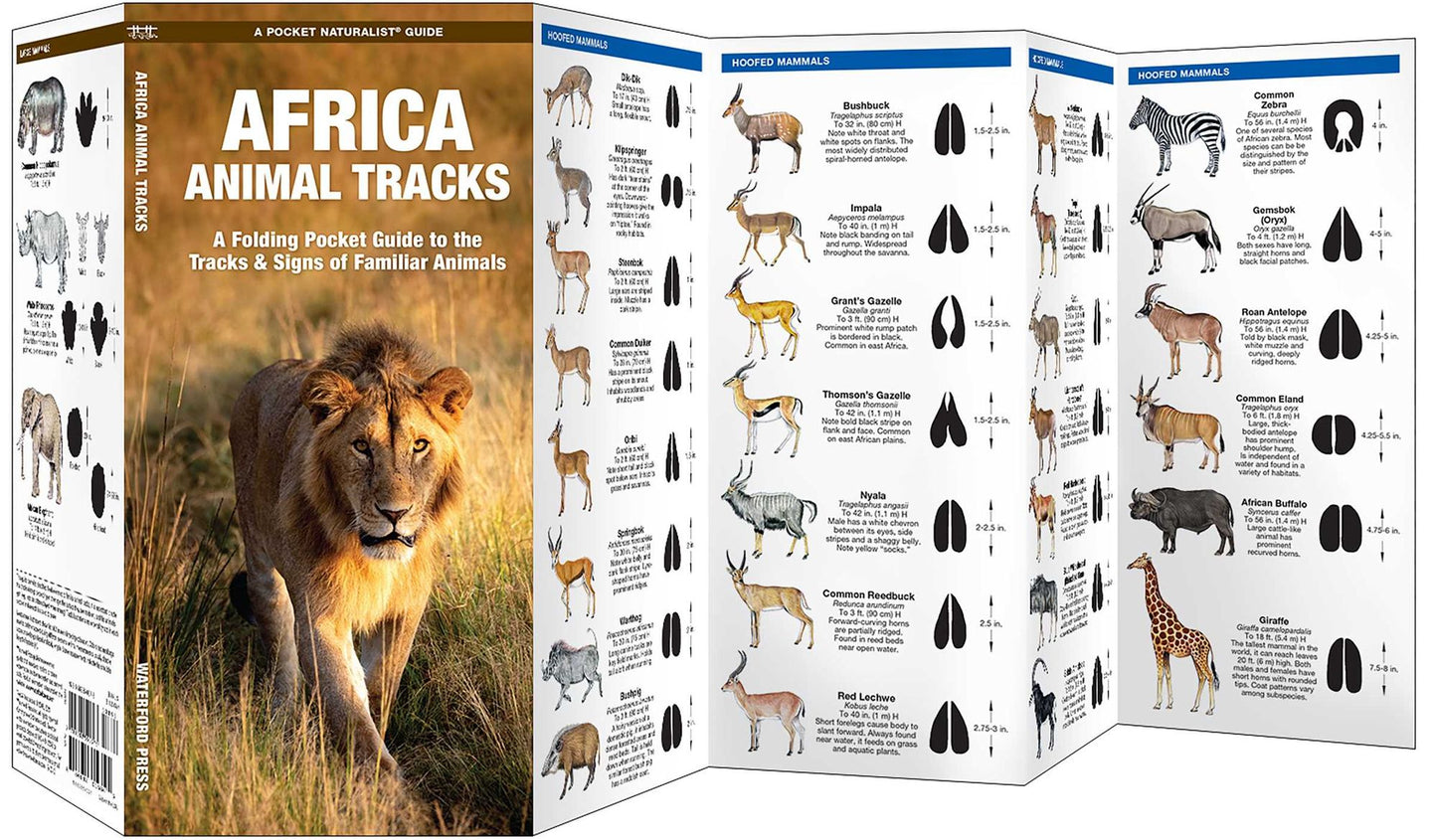 African Animal Tracks: An Introduction to the Tracks and Signs of Familiar Species