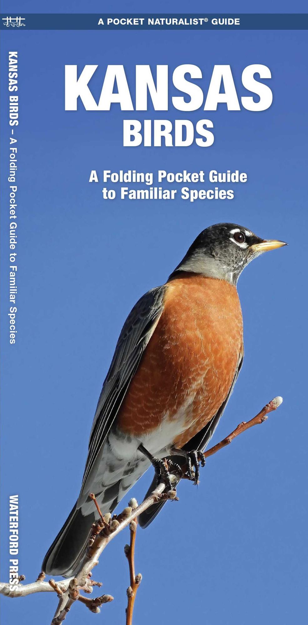 Kansas Birds: An Introduction to Familiar Species