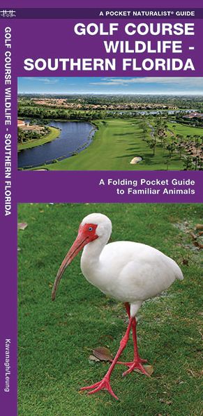 Golf Course Wildlife in Southern Florida