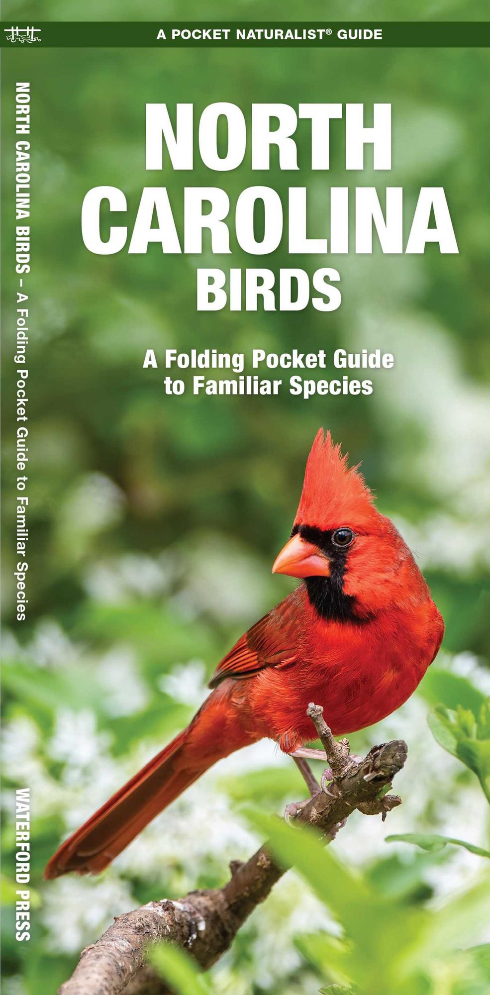 North Carolina Birds: An Introduction to Familiar Species