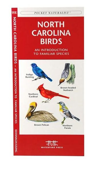 North Carolina Birds: An Introduction to Familiar Species