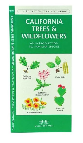 Pocket Naturalist: California Trees and Wildflowers: An Introduction to Familiar Species